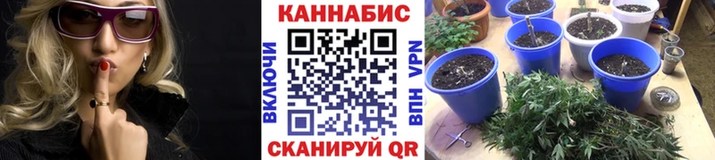 Как найти наркотики Медынь Кокаин  Меф  Alpha-PVP  АМФЕТАМИН  ГАШ 