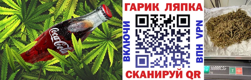 Canna-Cookies марихуана  Медынь 