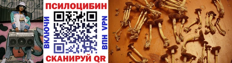 как найти   Медынь  Галлюциногенные грибы мухоморы 